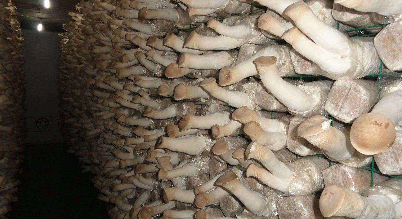 1577066590103287.jpg timg (2).jpg