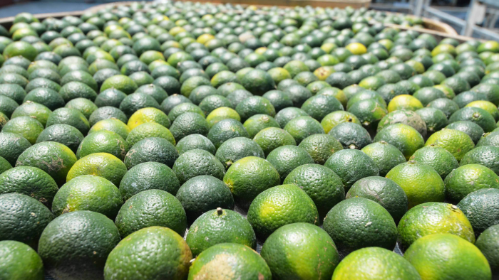 1588749800200254.png 微信圖片_20200506032336.png