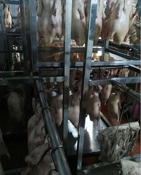 1588813483150611.png 燒鵝晾干 (2).png