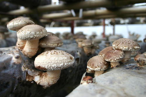 1592966829116819.jpg u=2009387208,1995250127&fm=26&gp=0.jpg